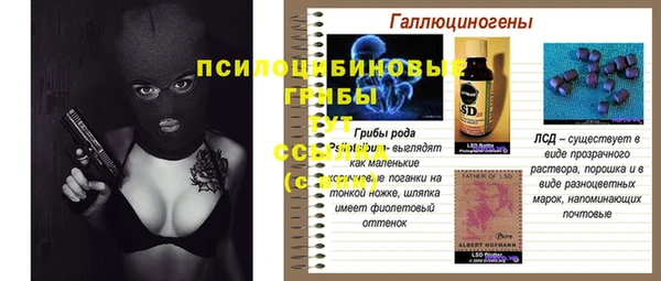 apvp Лиски