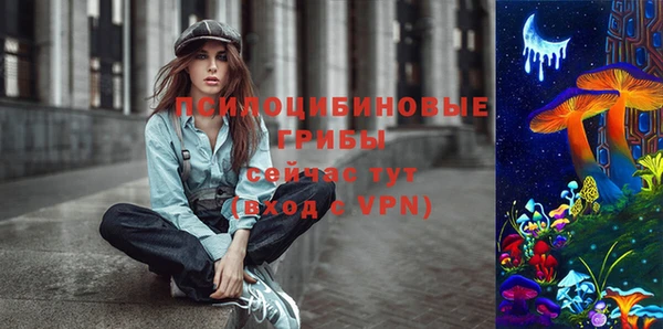 apvp Лиски