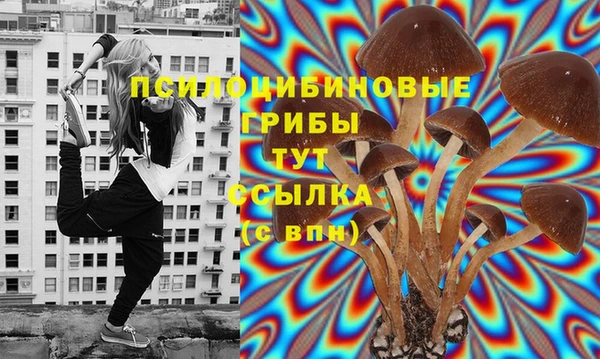 apvp Лиски