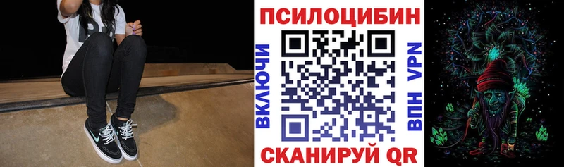 Псилоцибиновые грибы GOLDEN TEACHER  Купить  Новопавловск 